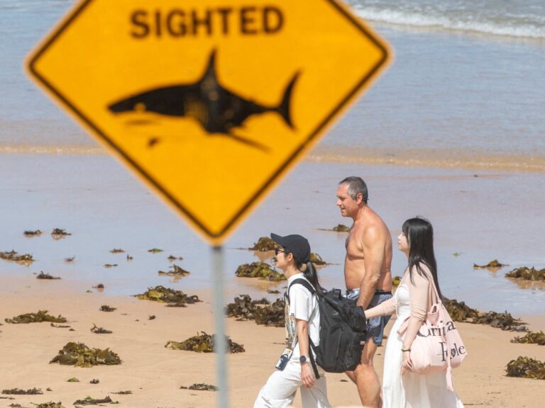 Fatal Shark Attack Claims Life in Northeast Australia