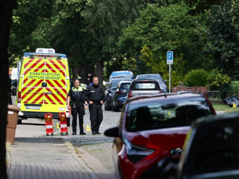 Five dead in Stade shooting, suspect arrested