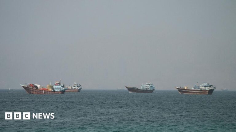 UN Pauses Hormuz Evacuation After Cargo Ship Struck
