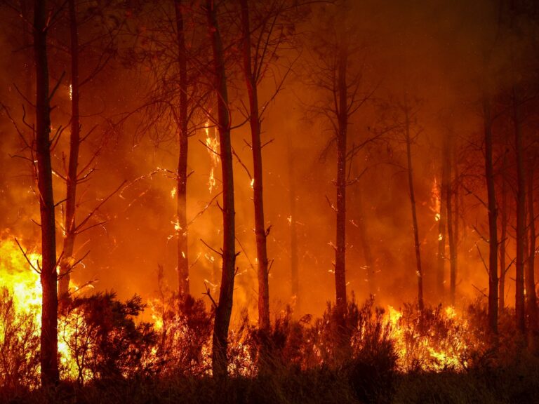 Europe Battles 'Monster' Wildfires Amid New Heatwave