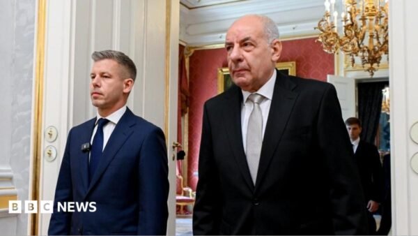 Hungary Removes President Sulyok