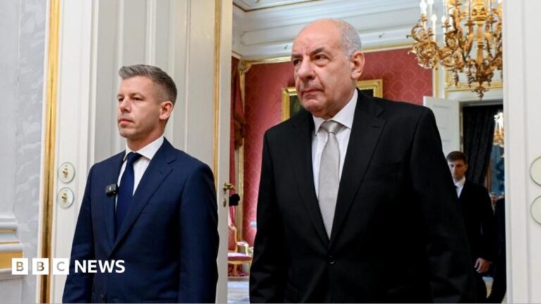 Hungary Removes President Sulyok