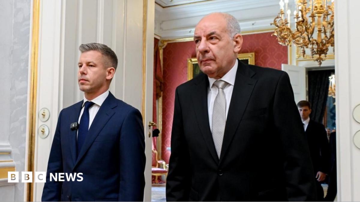 Hungary Removes President Sulyok
