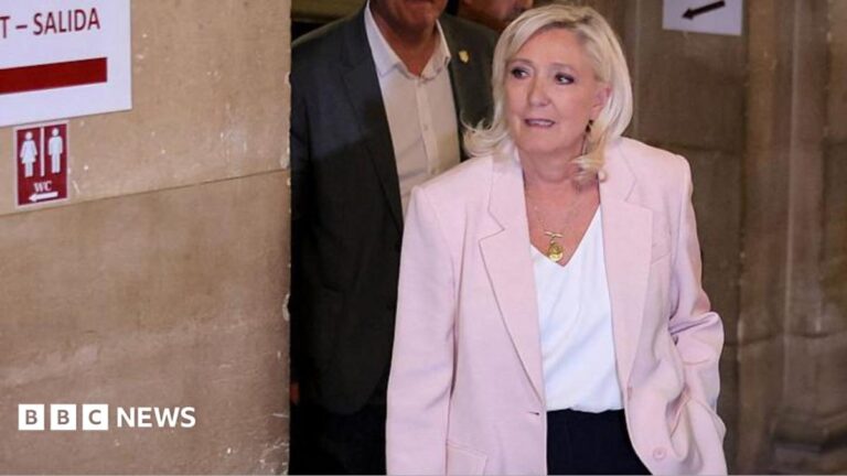 Le Pen’s Legal Tag: How a Court Ruling Reshapes the 2027 French Race
