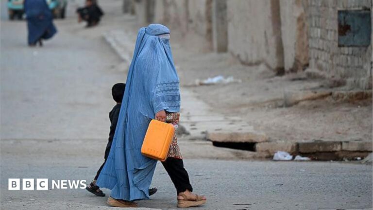 Afghan Women Erased From Public Life Under Taliban Rule