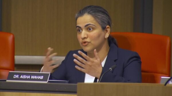 Aisha Wahab Wins Special Election to Fill Swalwell's Seat