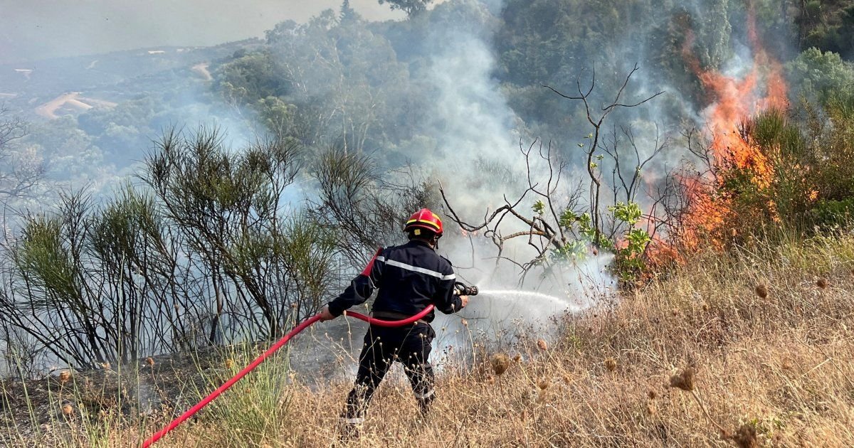 Deadly wildfires hit northern Algeria