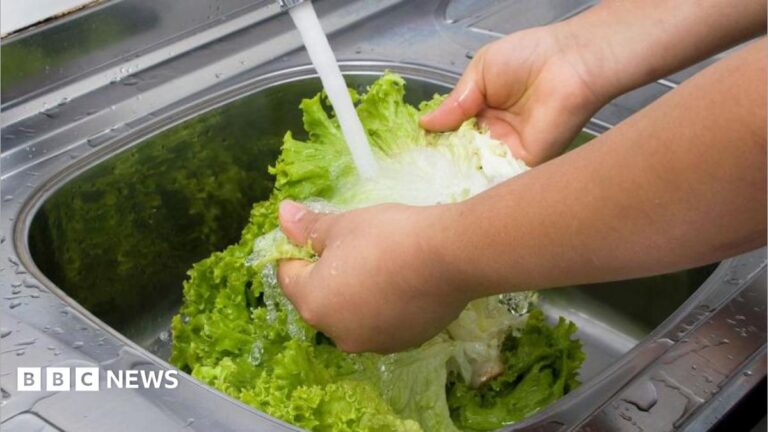 First US deaths linked to cyclospora outbreak