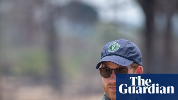 Prince Harry steps down from wildlife charity board