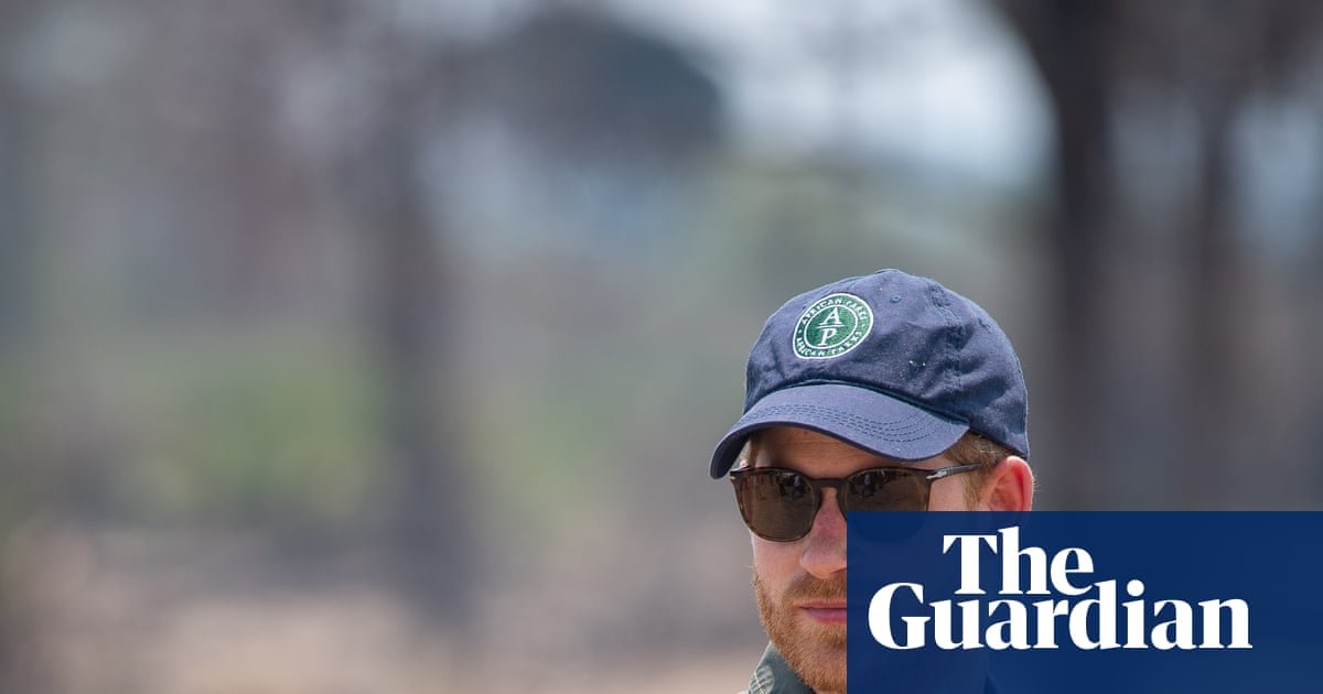 Prince Harry steps down from wildlife charity board