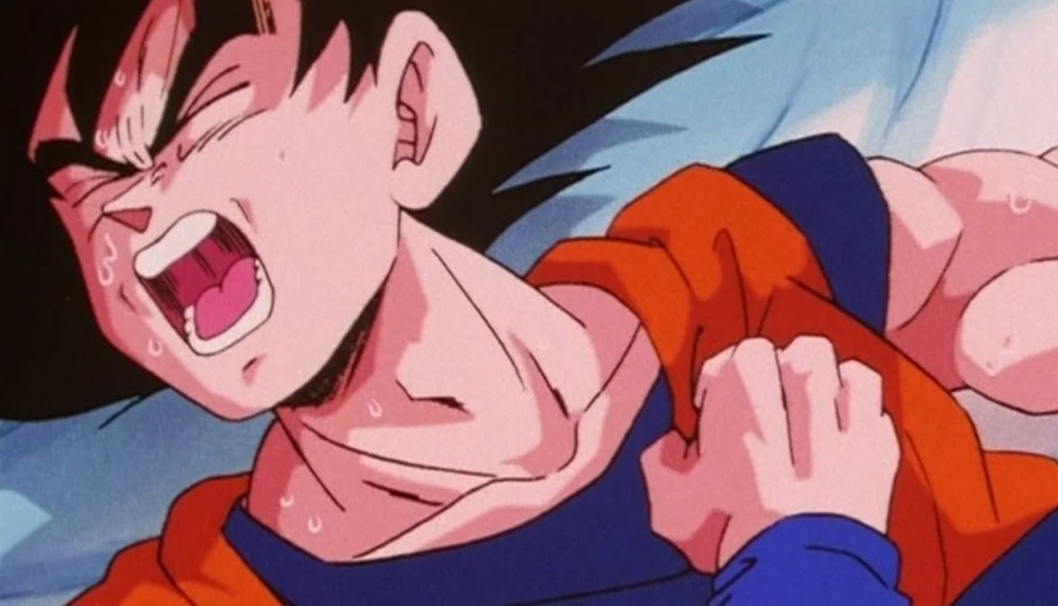 Saudi Arabia Funds $7B Dragon Ball Park in France