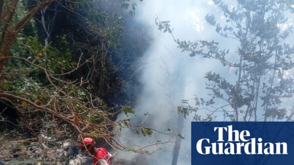 Seven killed in Kenyan safari helicopter crash