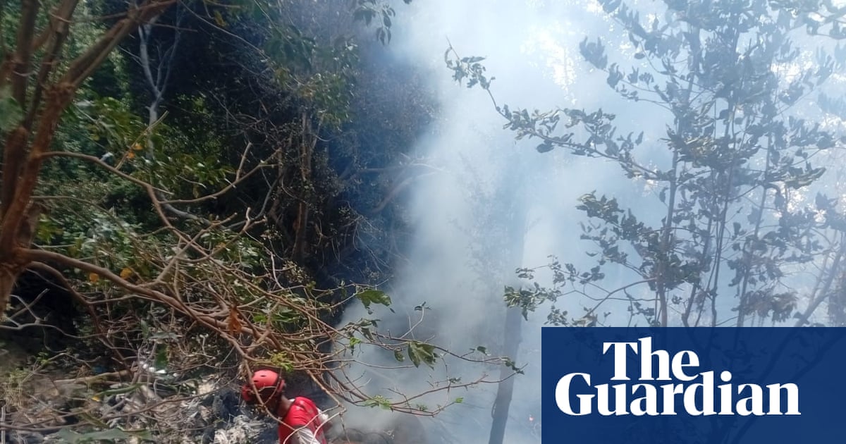 Seven killed in Kenyan safari helicopter crash