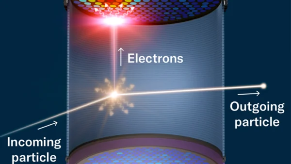 Dark Matter Signal Detected?