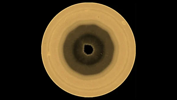 Hubble Spots a Decagon Storm Swirling at Saturn’s South Pole