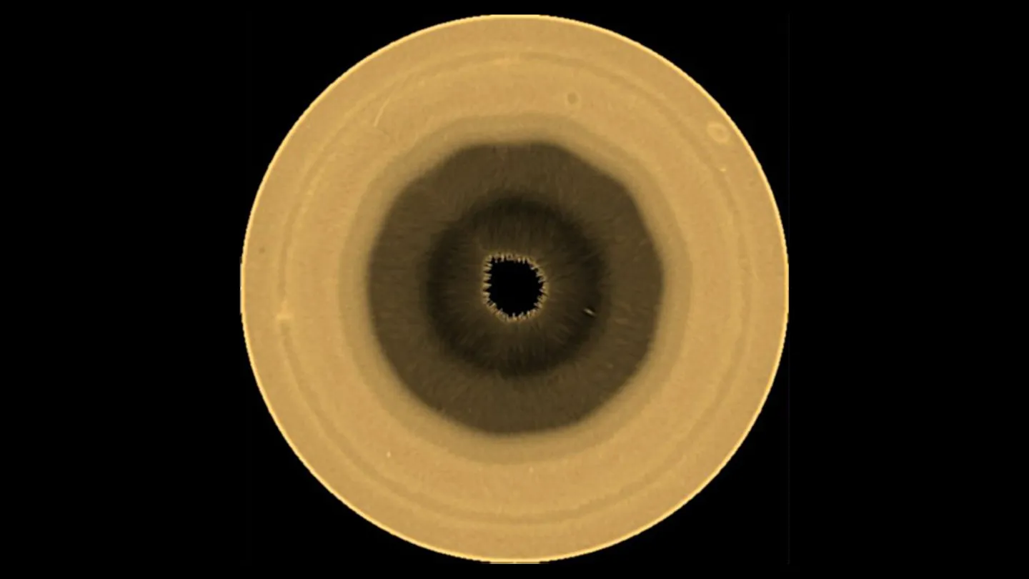 Hubble Spots Saturn’s Twin: A New Decagon at the South Pole