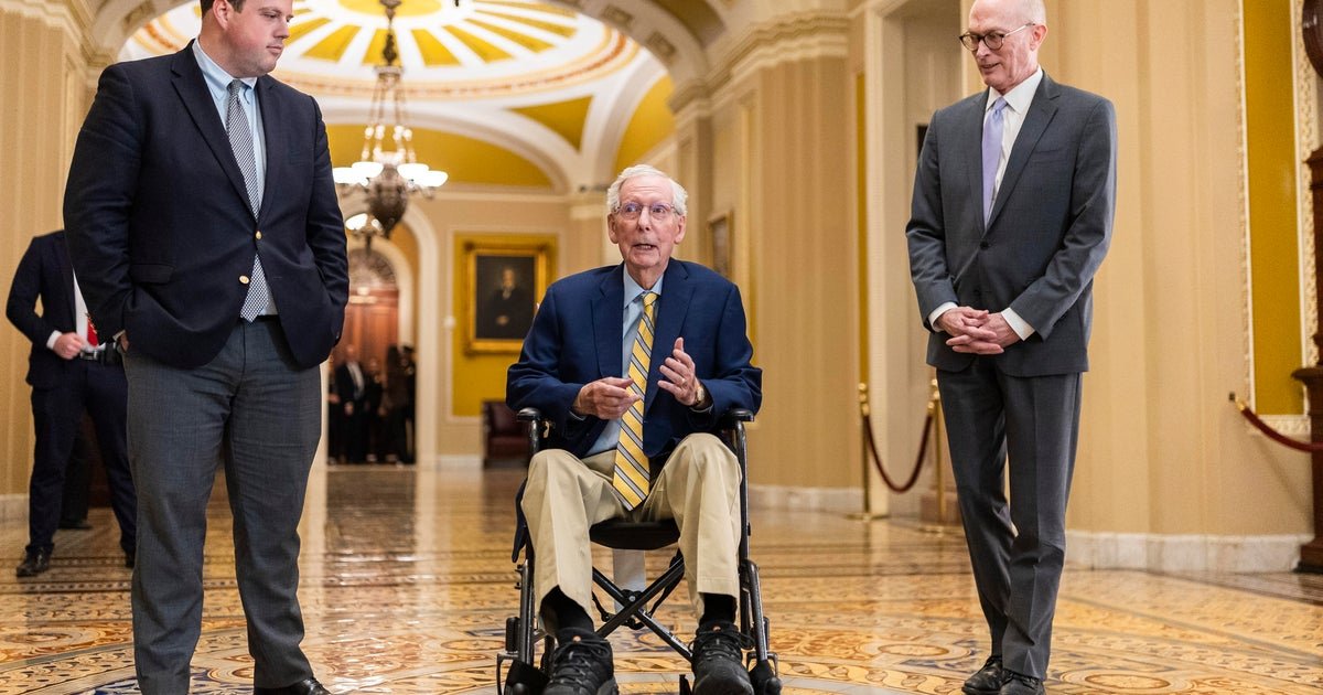 McConnell Returns to Senate After Fall