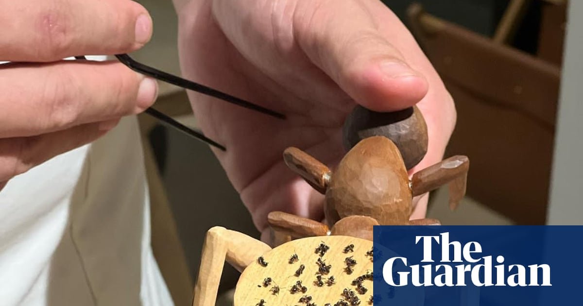 Michelin Restaurant Fined for Ant Garnish