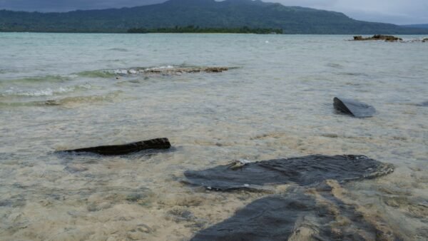 Vanuatu Ferry Sinks With Dozens Missing